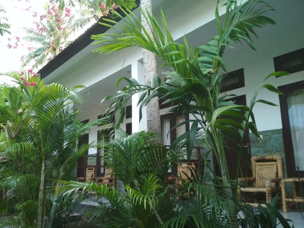 Almaida II Gili Trawangan Bed & Breakfast Ngoại thất bức ảnh
